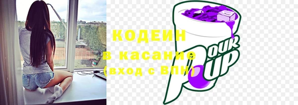 гашик Алексеевка