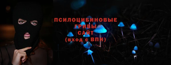 гашик Алексеевка