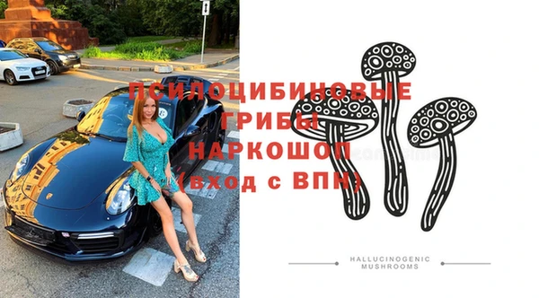 гашик Алексеевка