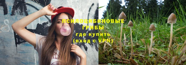 apvp Алексин