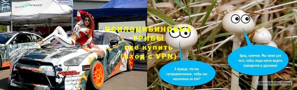 apvp Алексин