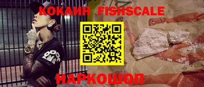 гидра Кандалакша