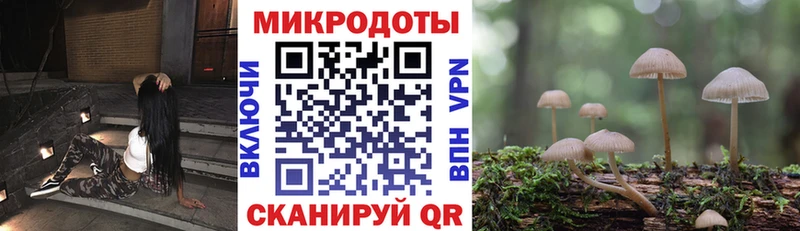 Галлюциногенные грибы Psilocybe  Магадан 